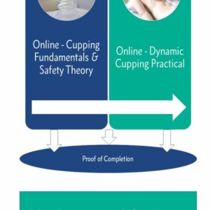 Online Cupping Certification Flowchart Seminars For Health